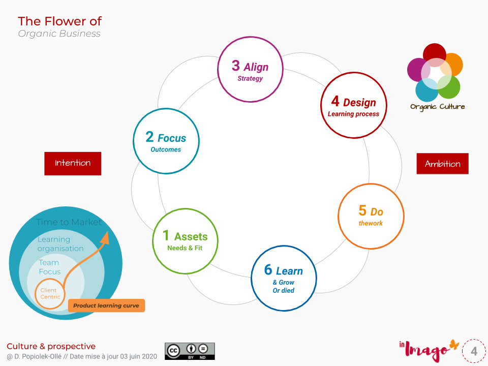 Aligner management stratégique, valeurs, culture client, management par la valeur Fleur de vie d'un business organique, the Flower of organic business