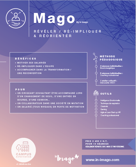 Coaching professionnel, accompagnement individuel