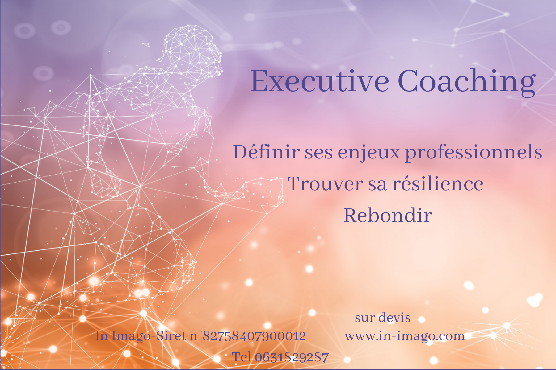 Executive coaching-Coaching de dirigeant