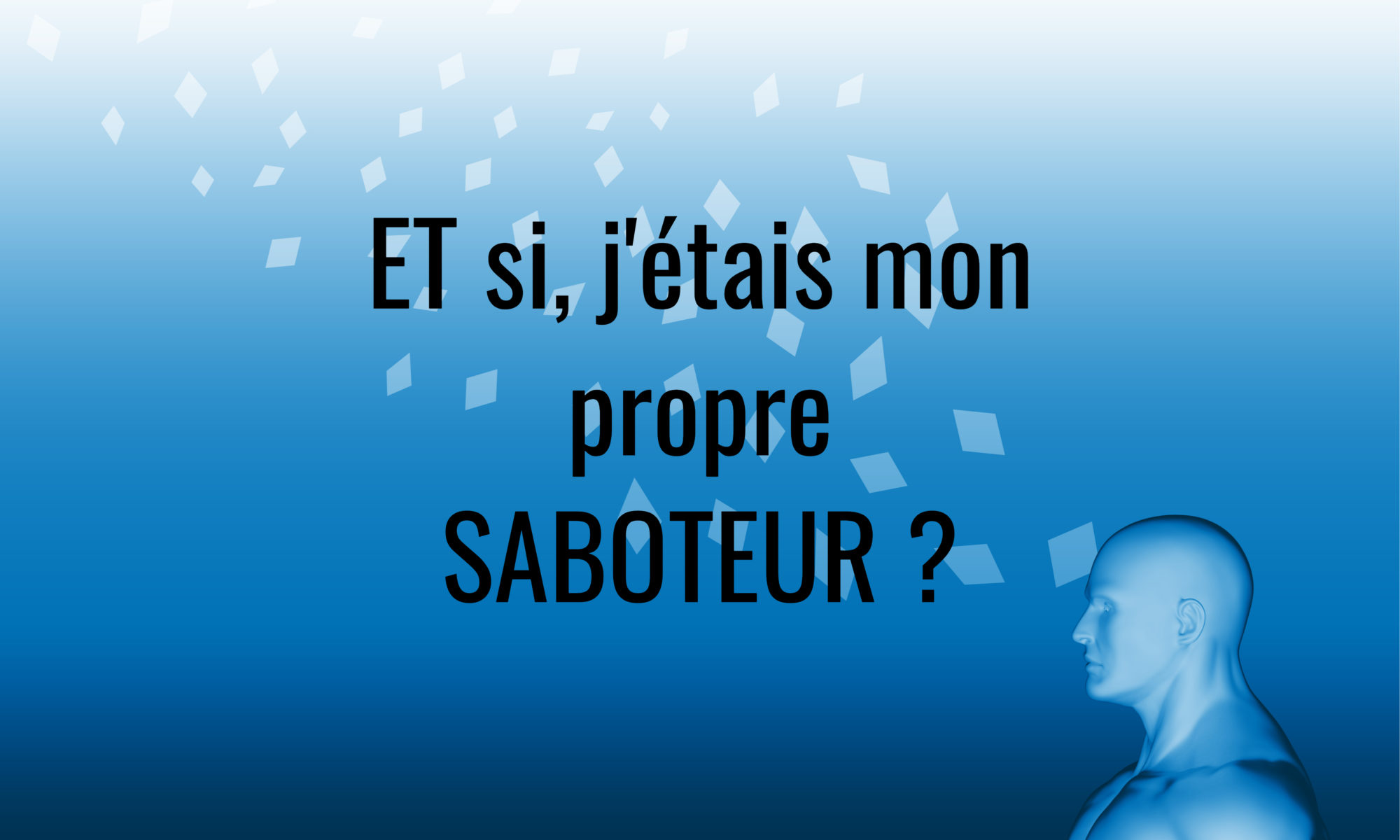 le singe et moi, saboteur, croyances, fenêtre de Johari