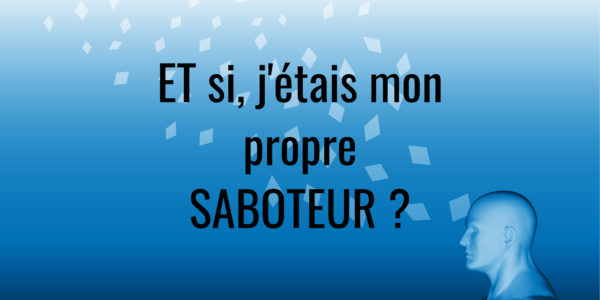 le singe et moi, saboteur, croyances, fenêtre de Johari