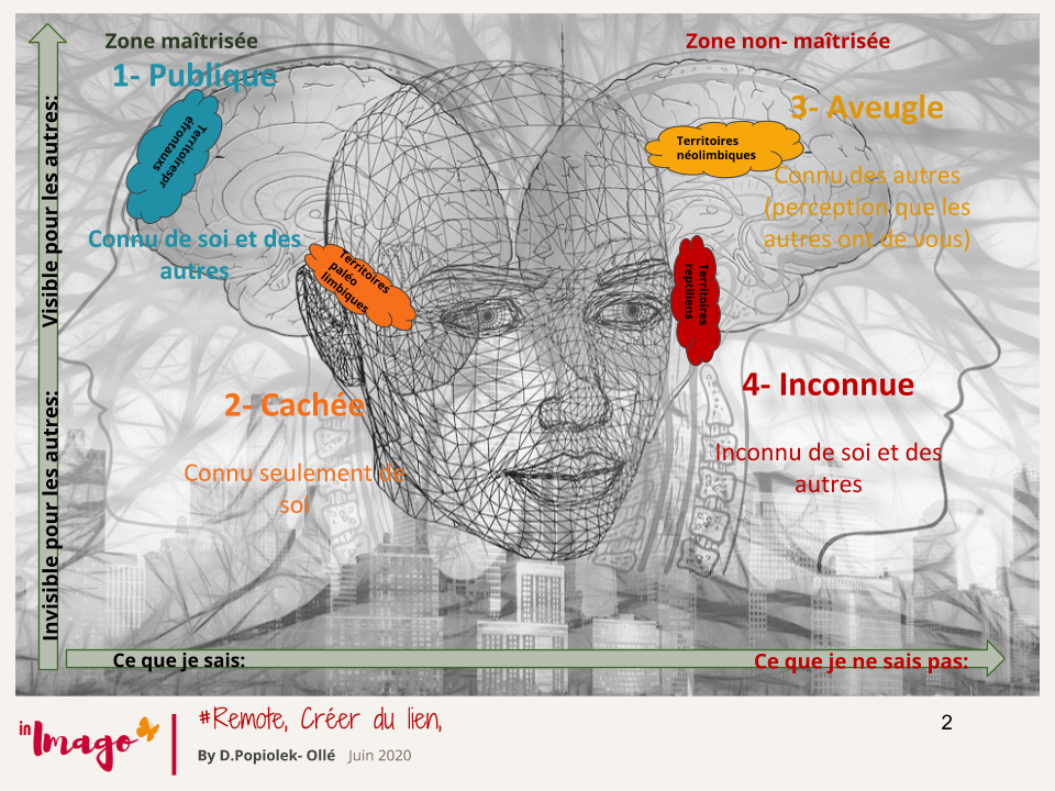 Imago, multipotentiels, Entrepreneur entreprenant, zone du saboteur