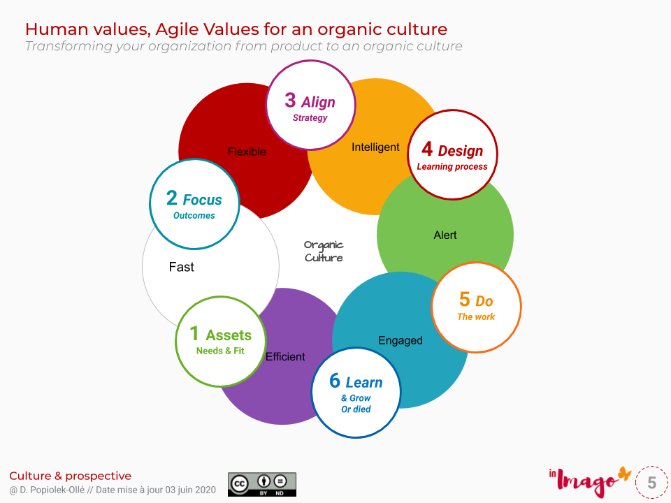 Management organique, management stratégique par la valeur, culture organique