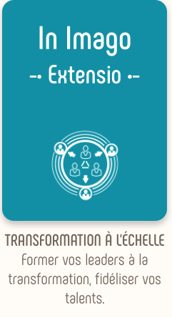 Accompagner, Extensio, transformer les organisations