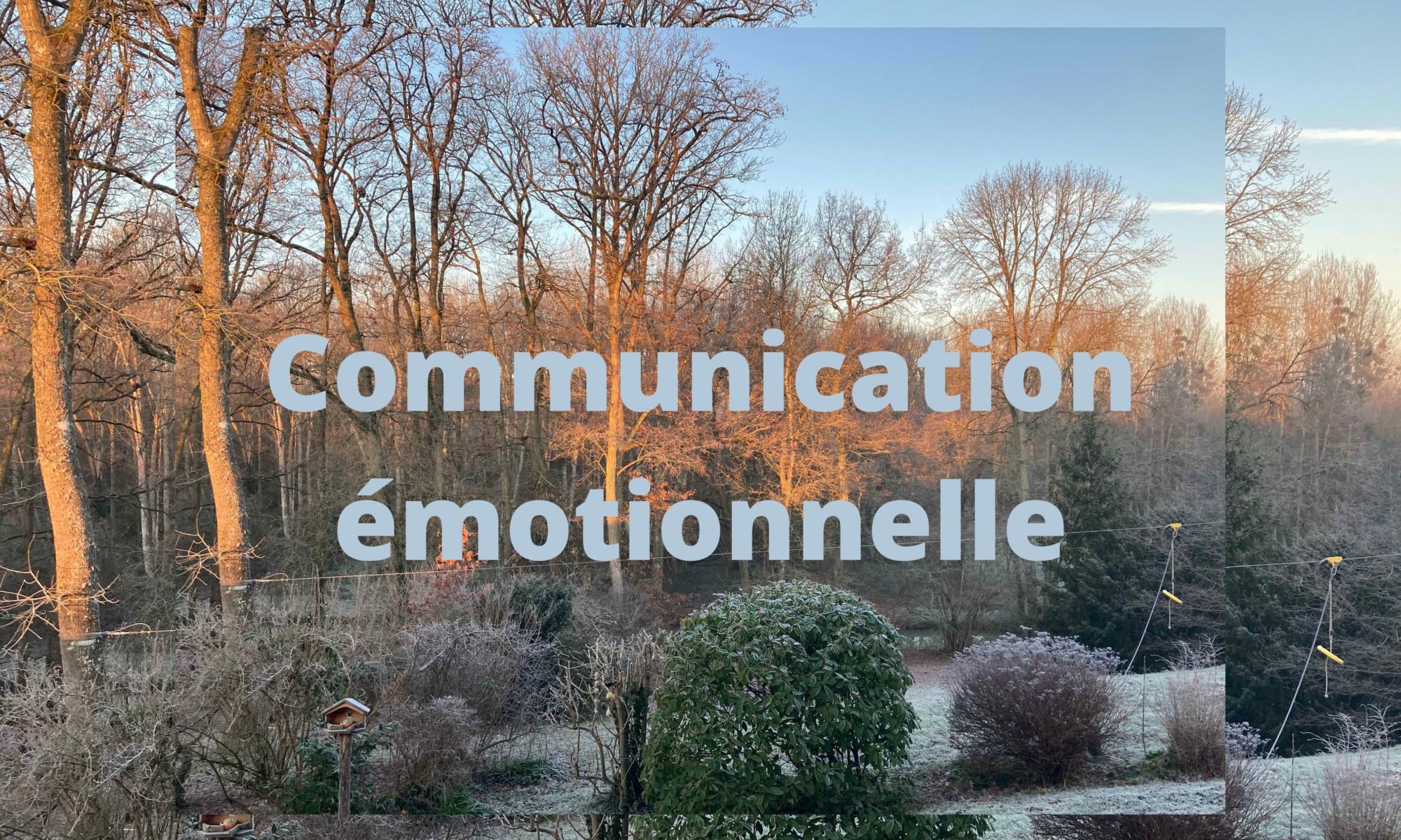 Communication émotionnelle, management stratégique, accompagner, transformer, emotionnal management, emotionnal communication