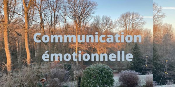 Emotional communication