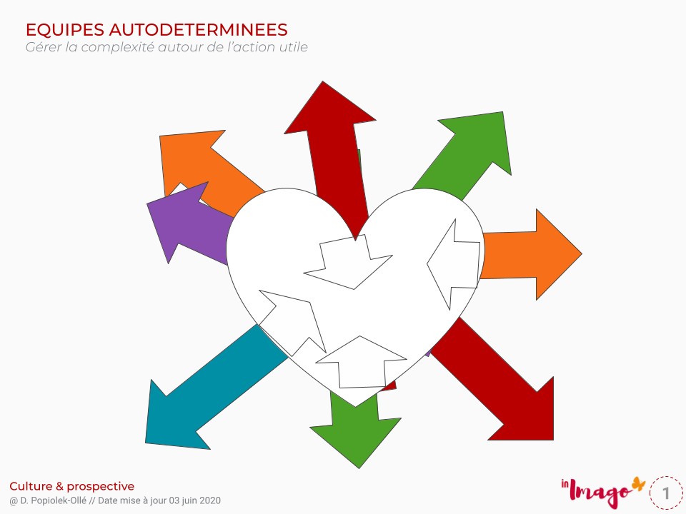 Management vivant, équipes autodéterminées, management caos