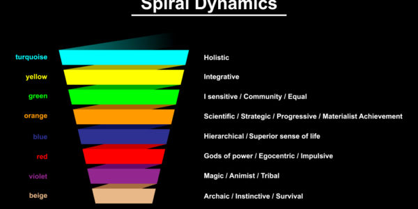 Spirale dynamique, Spiral dynamics