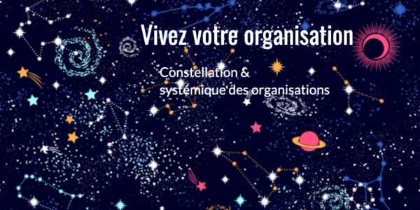 Constellation systémique des organisations