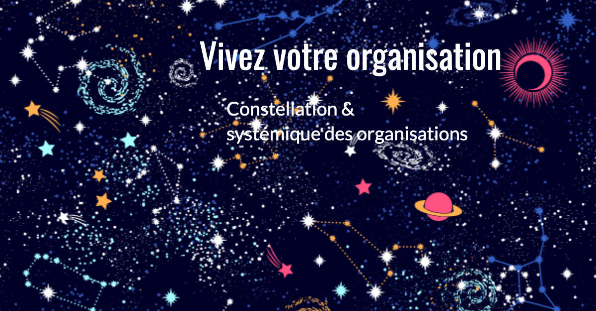 Constellation systémique des organisations