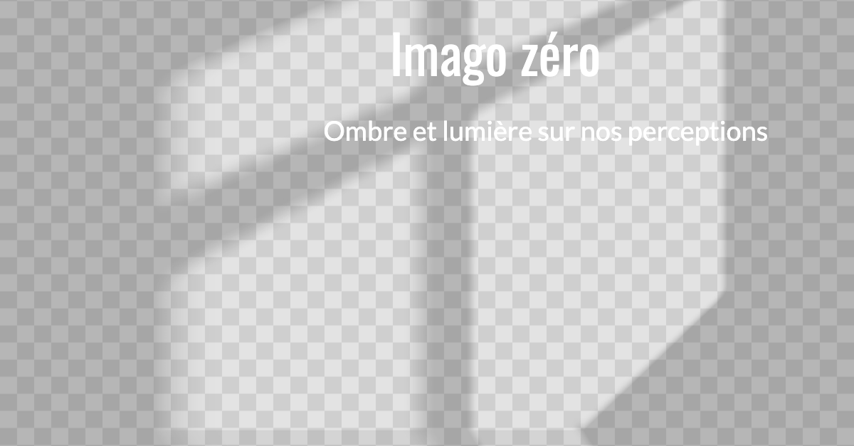Imago zero : ombre et lumière sur nos perceptions