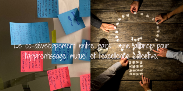 Le co développement pour booster vos organisations